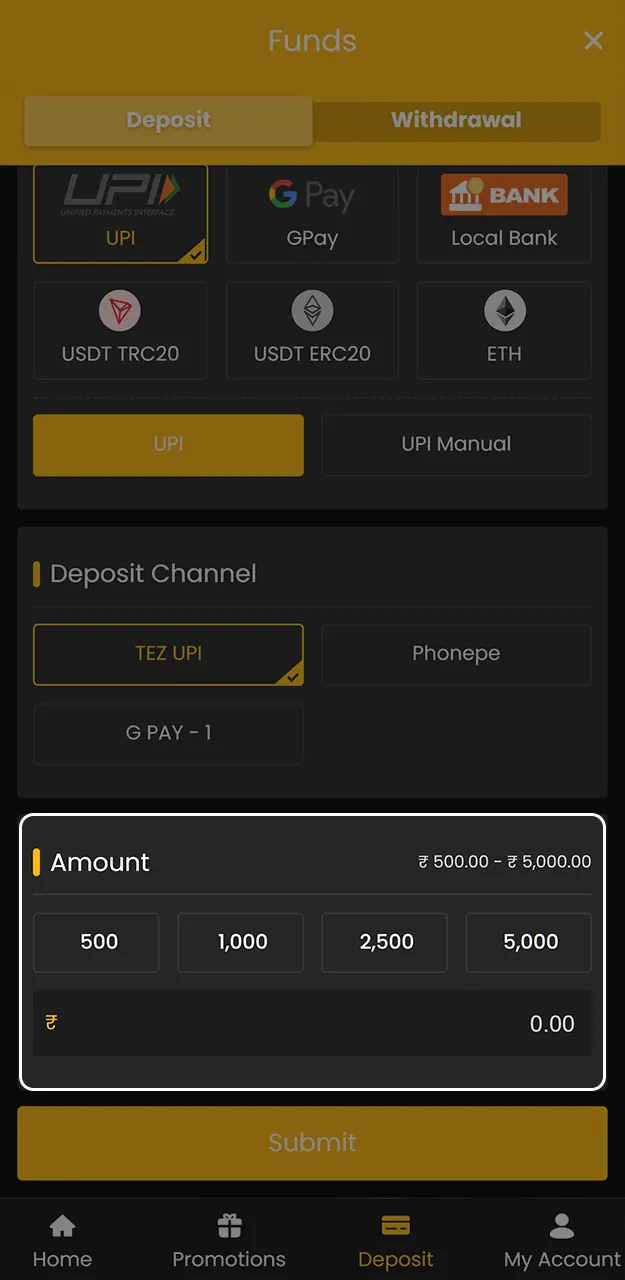 Enter the deposit amount and the required payment details on the Sky247 website.