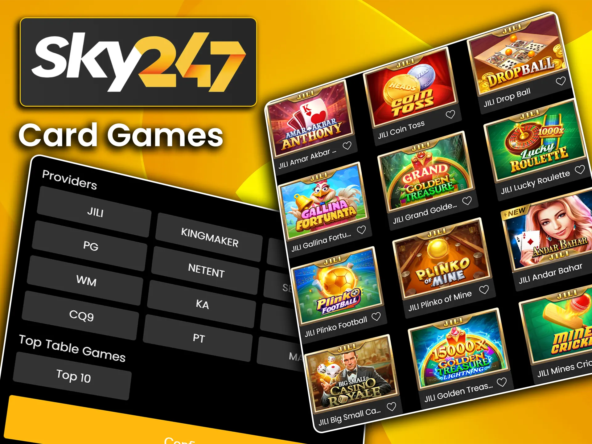 Discover a special collection of card games for players on Sky247.