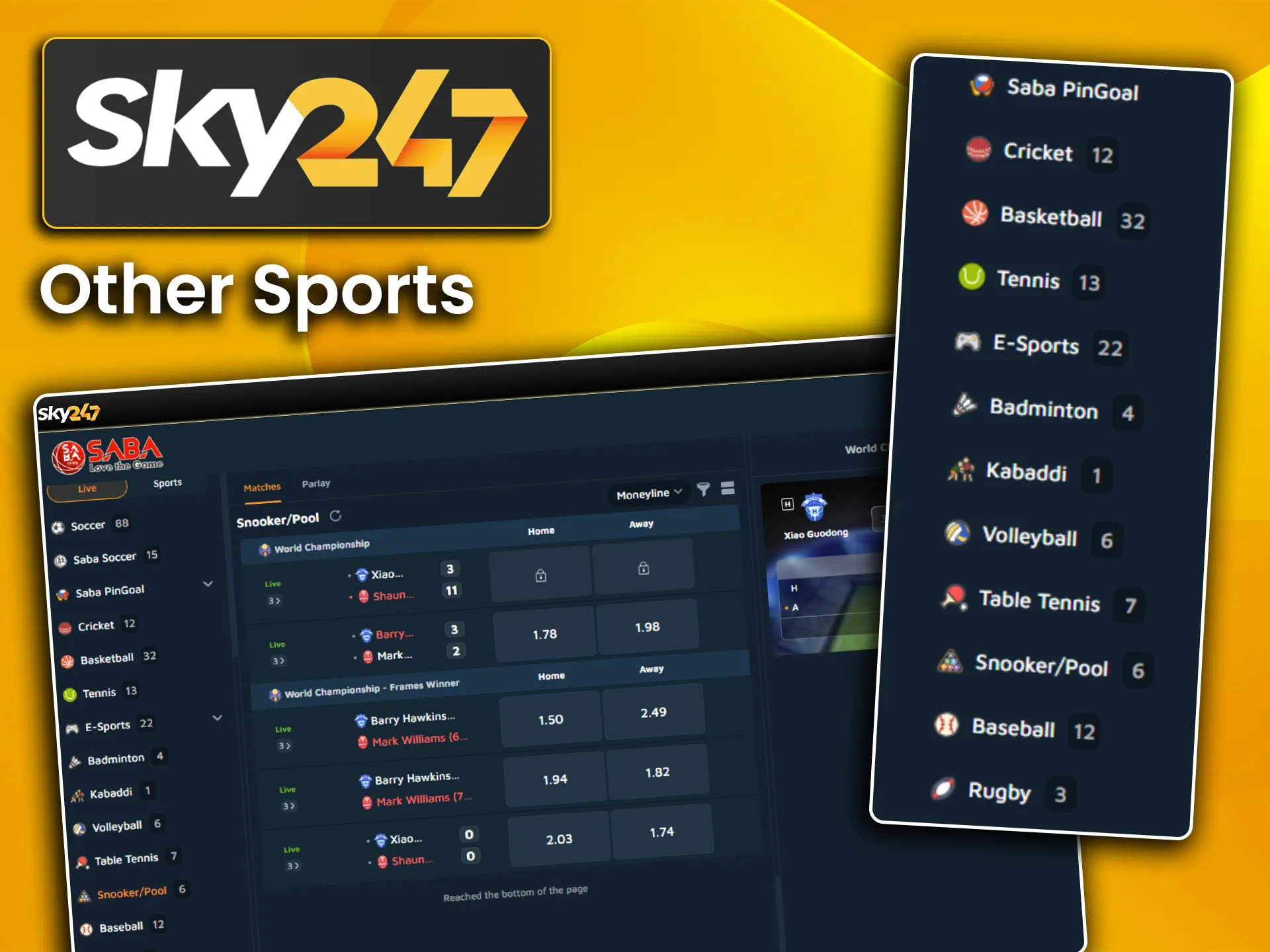 Discover various alternative sporting disciplines available for wagering at Sky247.